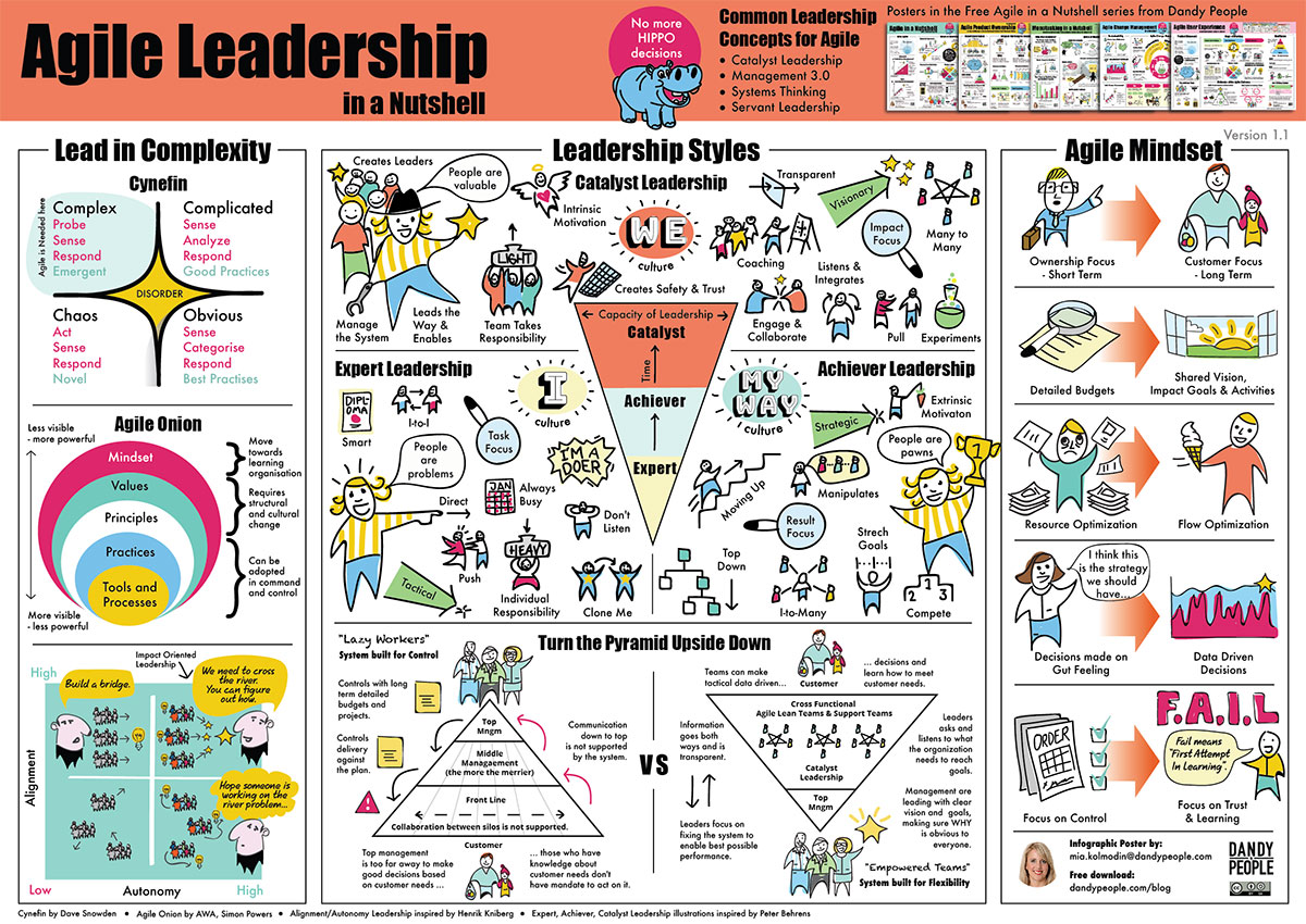 Kuvahaun tulos haulle agile leadership