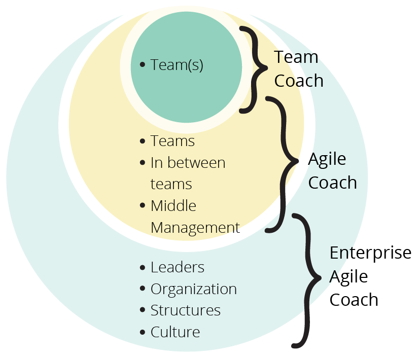 levels of agile coaching