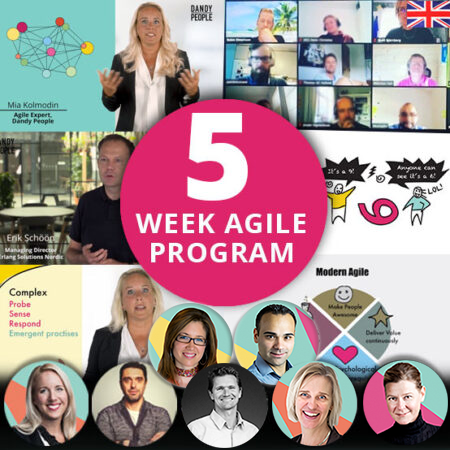Exclusive 5 Week Agile Program – Online