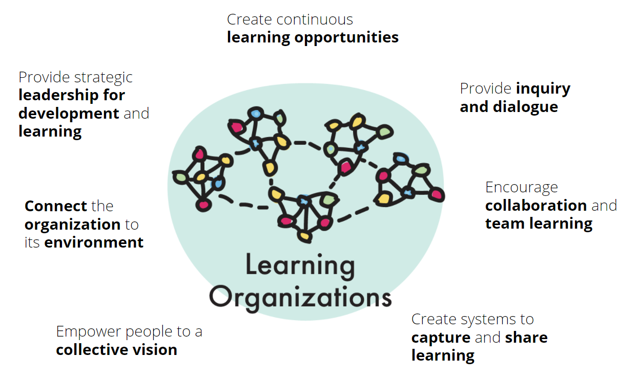 What is a Learning Organisation?