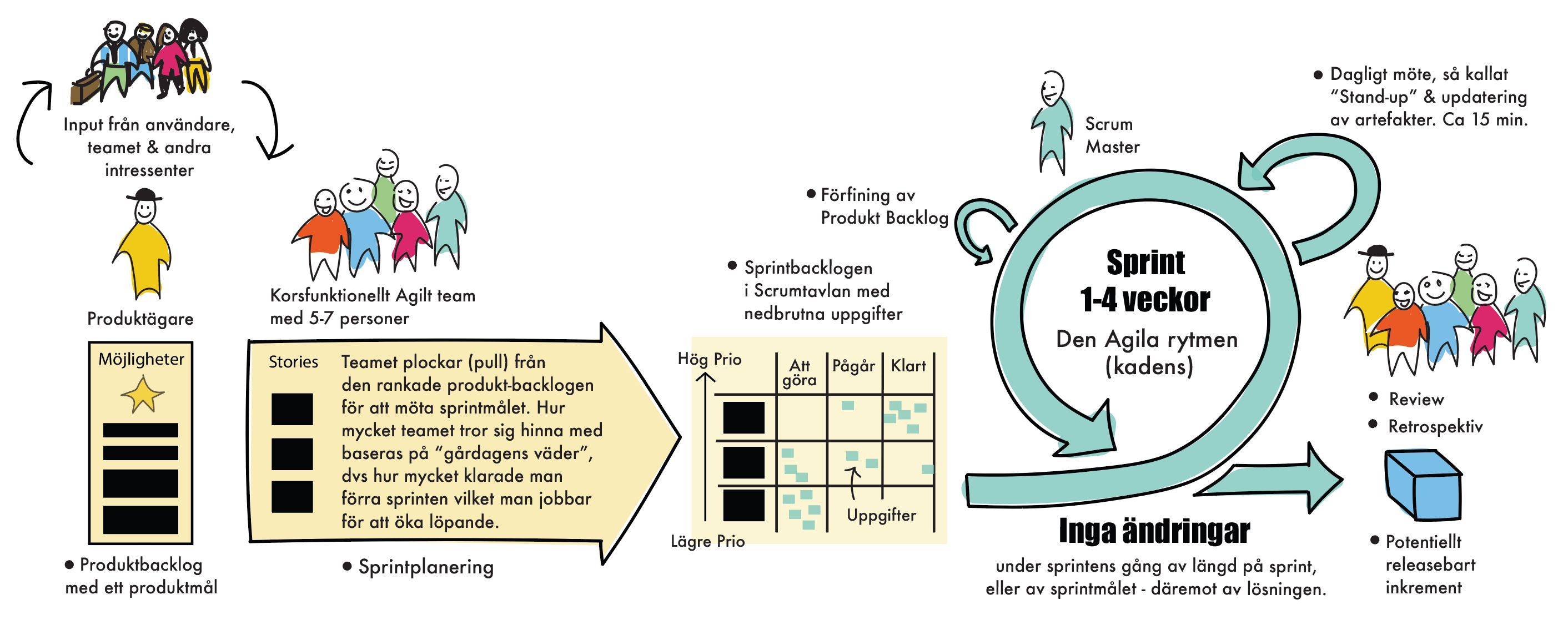 Nytt projekt testar sälsäkra fällor - Leader Gästrikebygden Lokalt